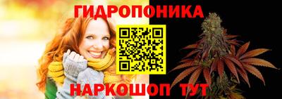 винт Донецк