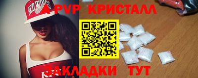 кокс Донской