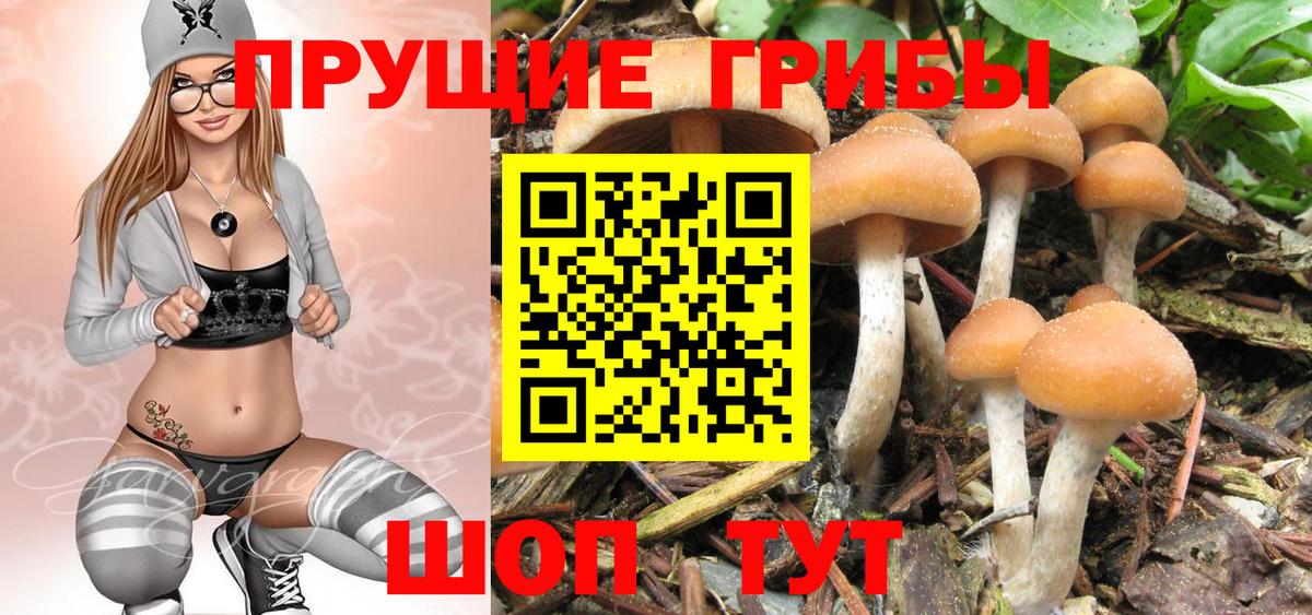 Псилоцибиновые грибы ЛСД  Вход с VPN  Надым 